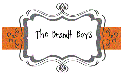 The Brandt Boys