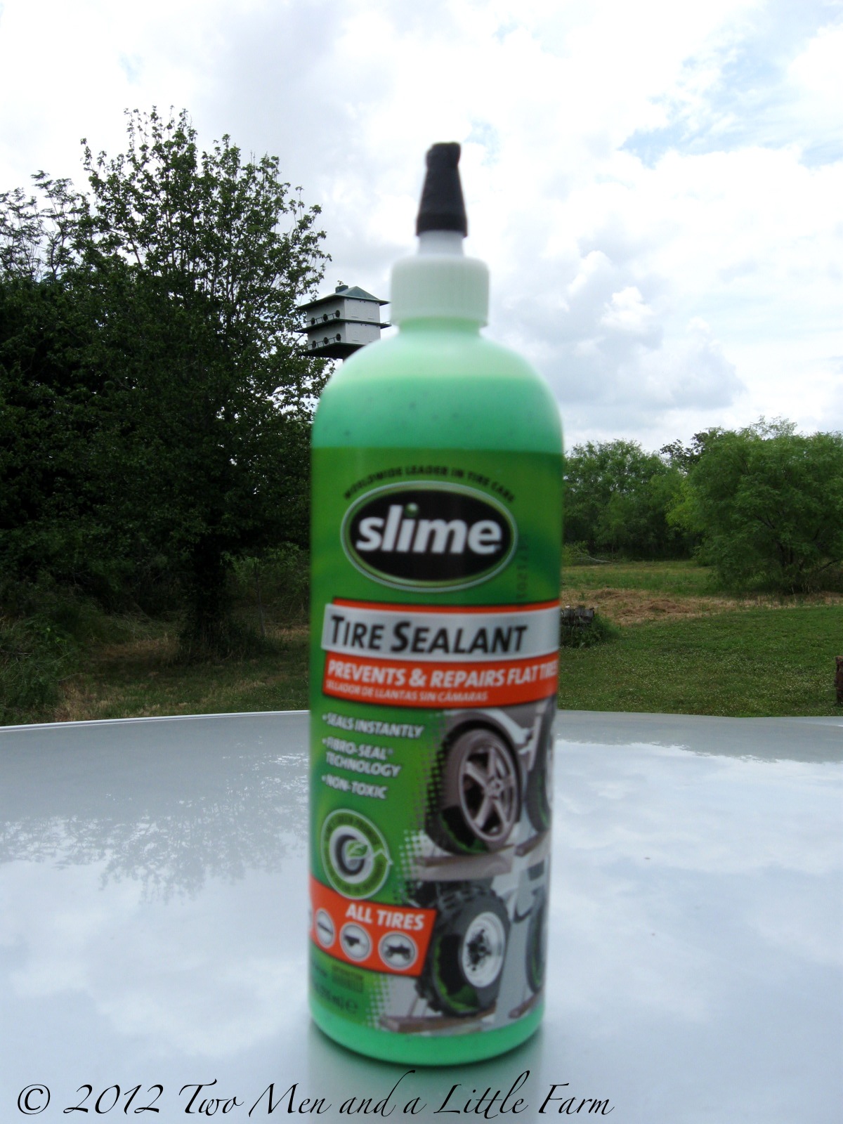 Two Men and a Little Farm MESQUITE THORN, FLAT TIRE, AND GREEN SLIME