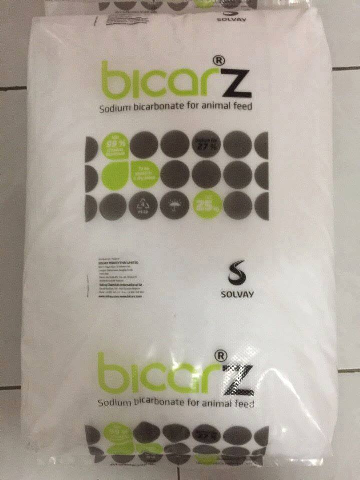 NaHCO3 Sodium Bicarbonate 99% (Soda lạnh tăng kiềm) 25kg/bao Italia (Ý)