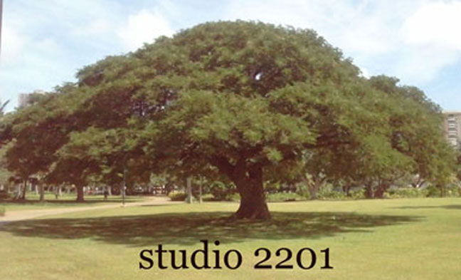 Studio 2201
