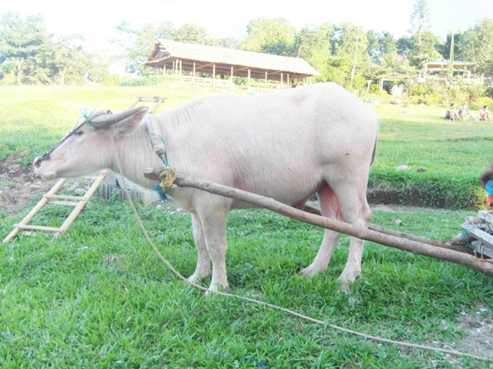 Enjoying the beauty of nature at Guerrero Farm & Nature Park ♥