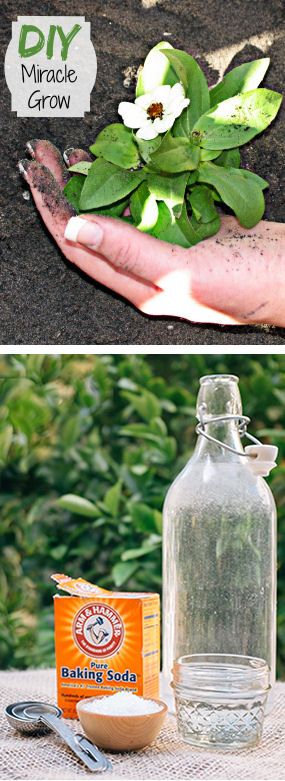 Creative Ideas: Garden And Yard Decor!
