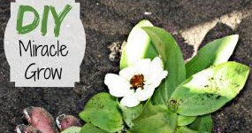 Creative Ideas: Garden And Yard Decor!