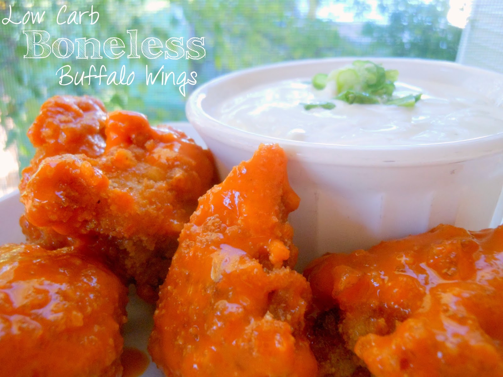 Sunny Days With My Loves Adventures in Homemaking Low Carb Boneless