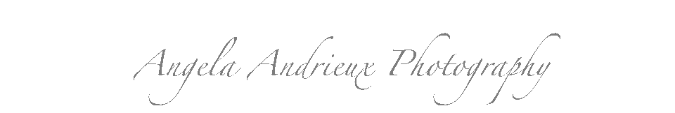 Explore-Capture-Create