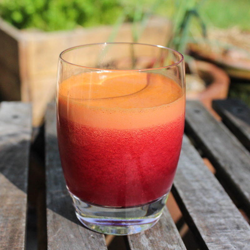 the wren and rabbit garden breakfast juice