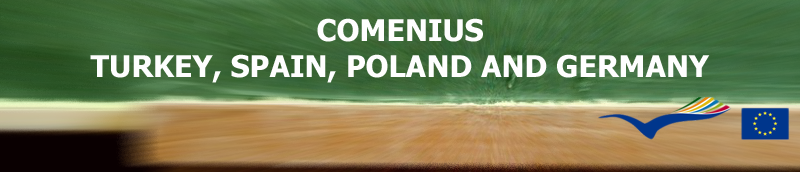 COMENIUS DIGITAL EDUCATION 