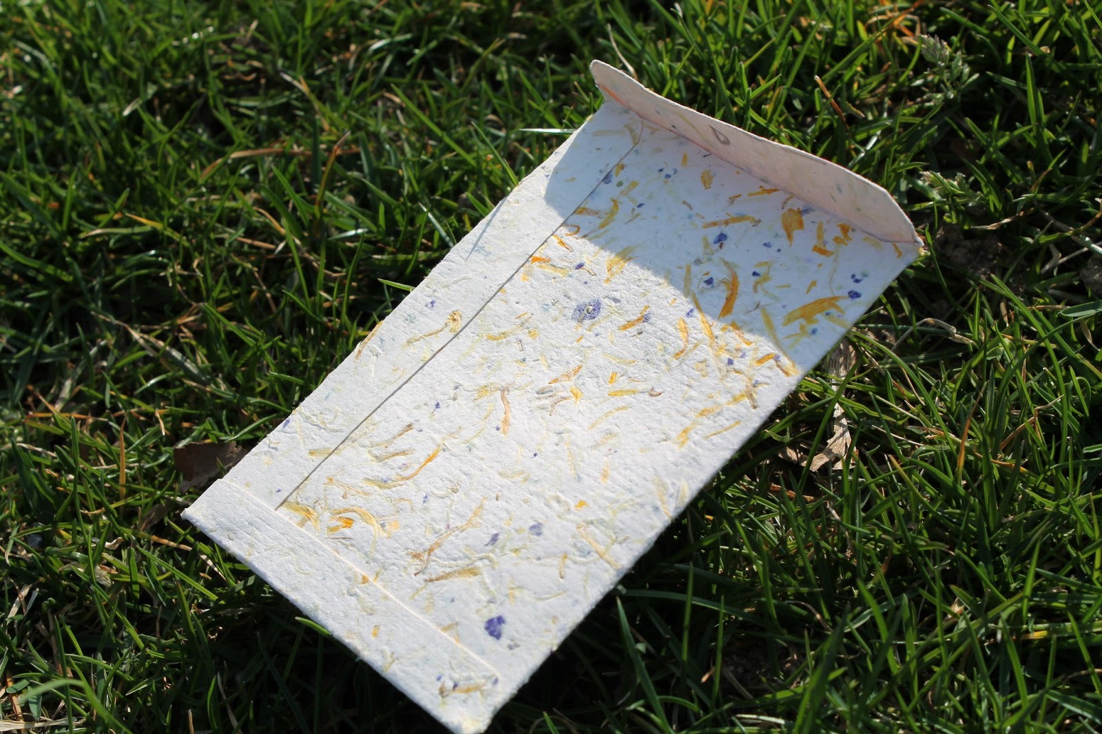 My Creative Mommy Make Your Own Seed Packets