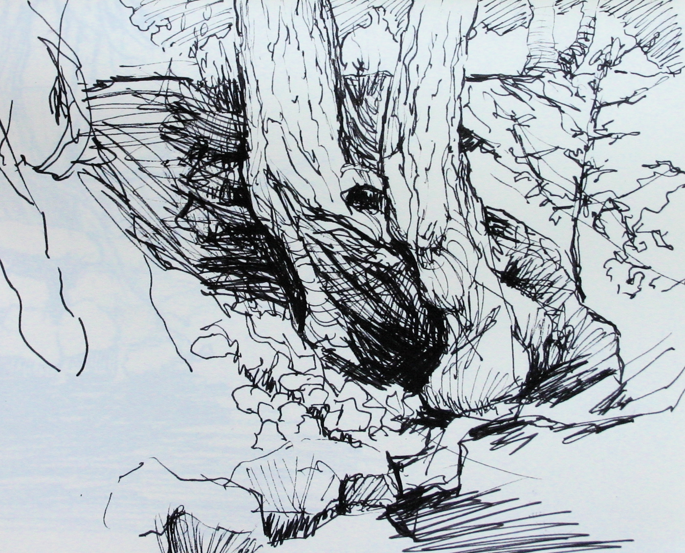 Trees Sketch