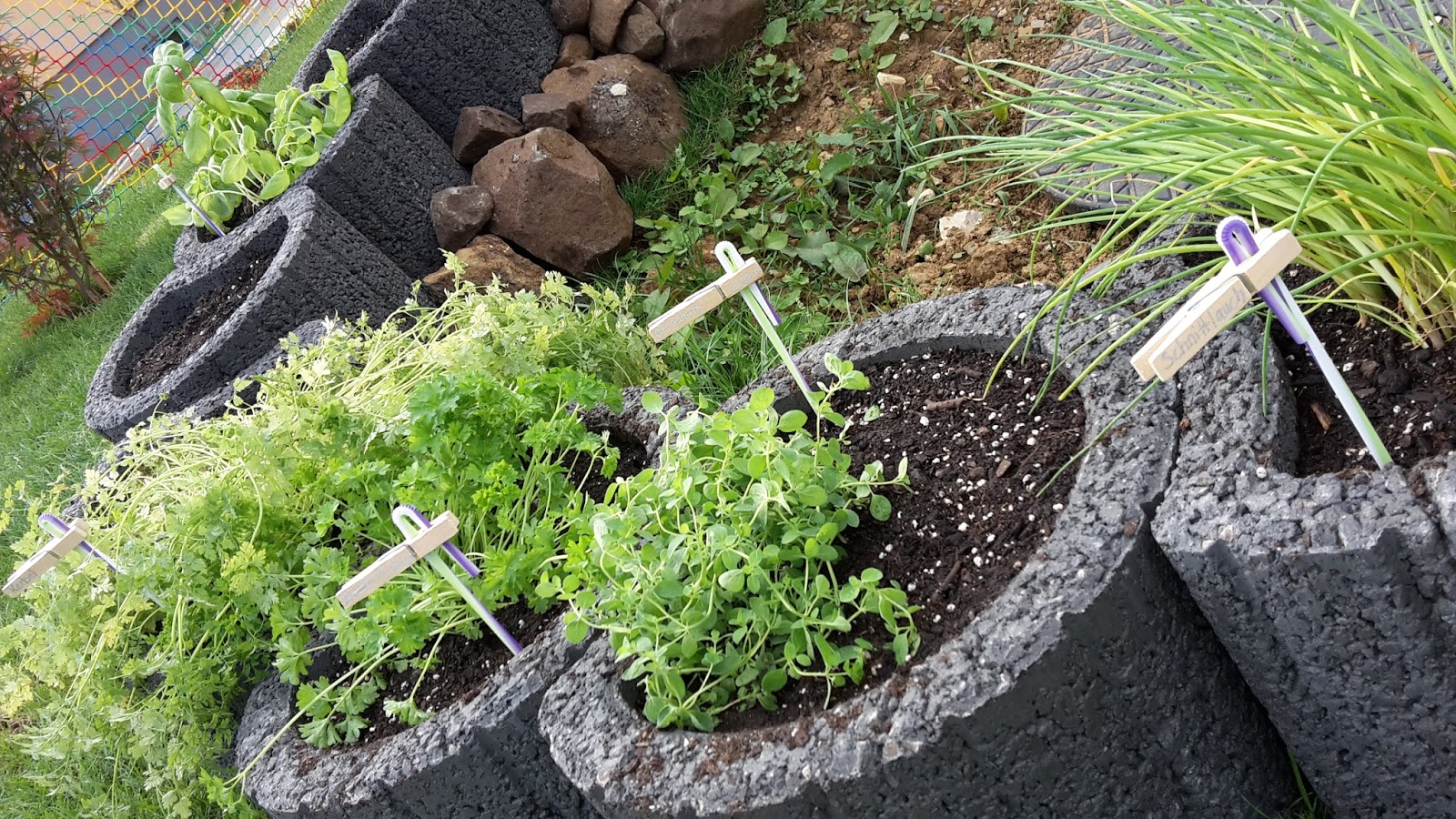 Flo Baut Sein Traumhaus Point 150 Von Danwood Mit Ks Hausbau 2015