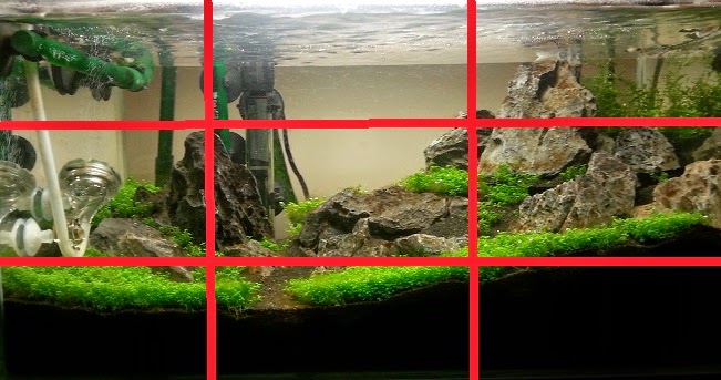 aquascaping tips tricks hardscape