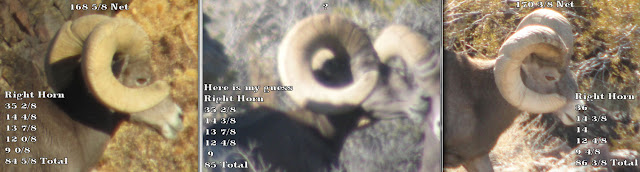 right+horn+view+of+pinky,+logo+and+number+3+with+numbers.jpg