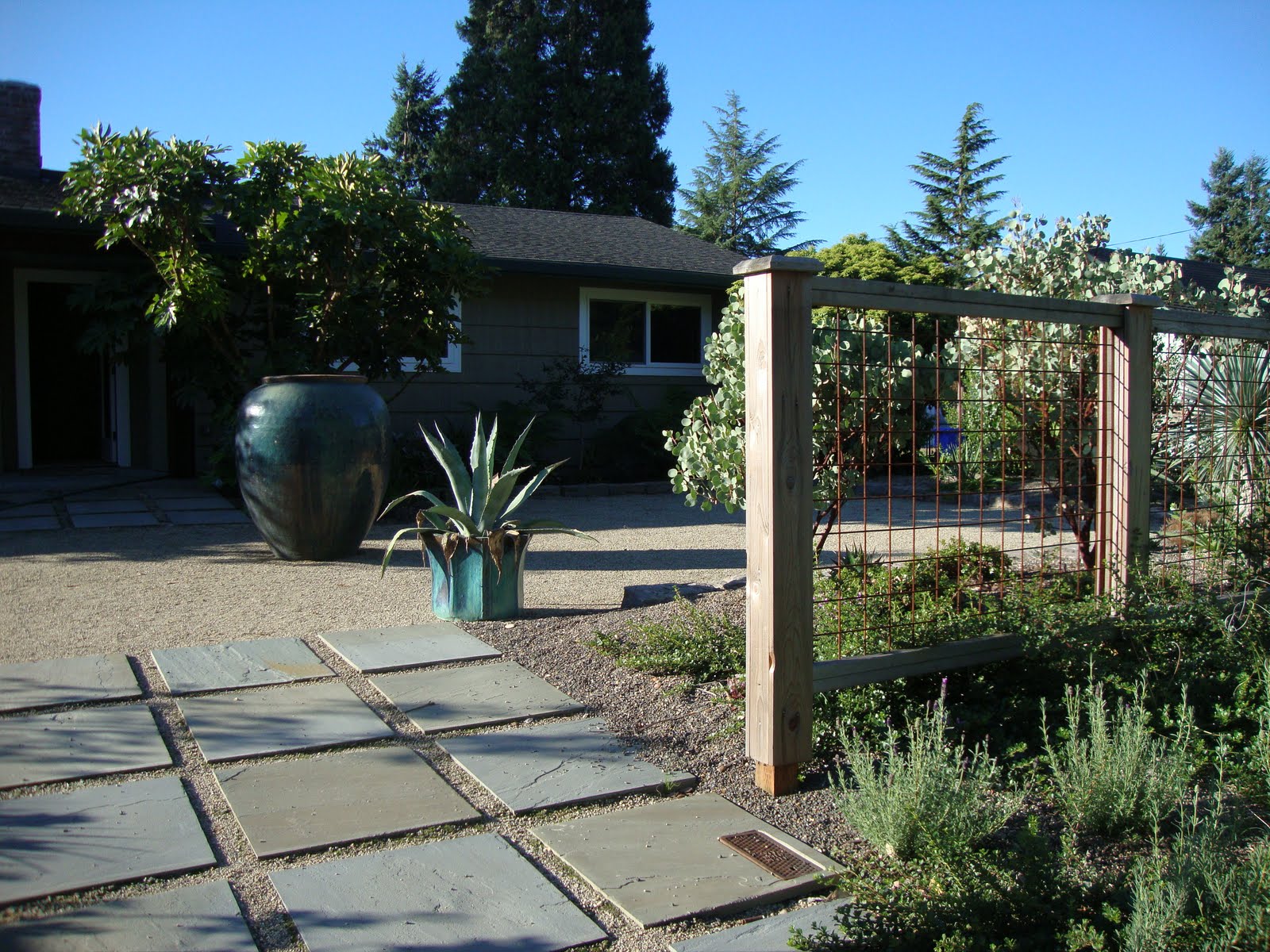 Who Plants Bushes In Front Of A Window The Joy Blog