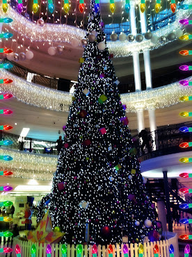 "CHRISTMAS TREES"