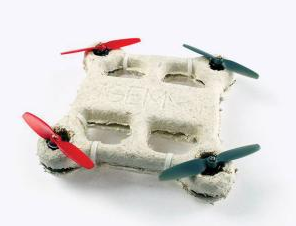 Un drone biologico