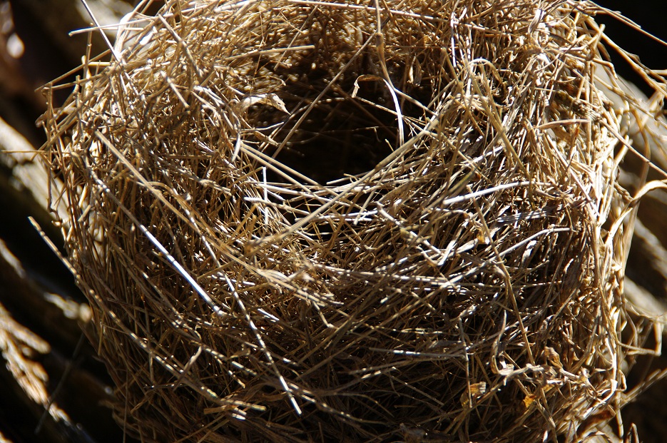 Homespun bliss Bird's nest