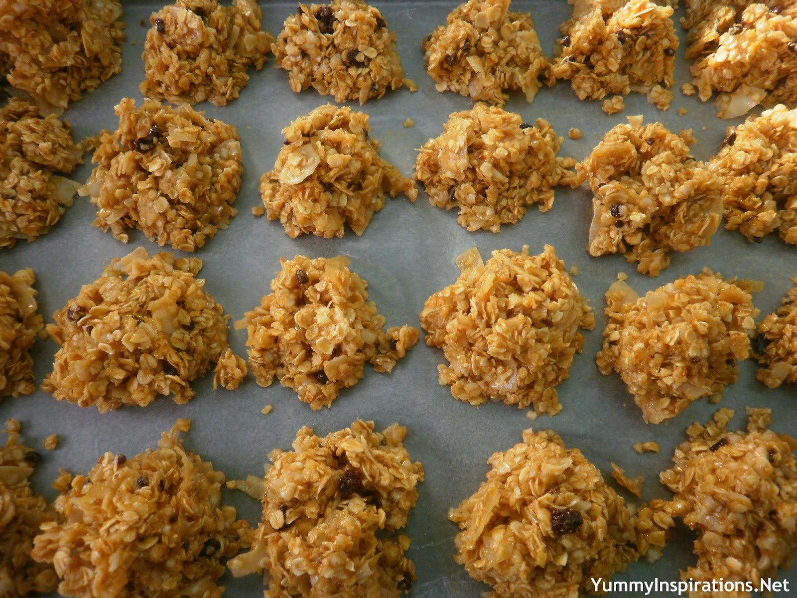 Quinoa, Oat & Coconut CoQuinoa, Oat & Coconut Cookiesokies