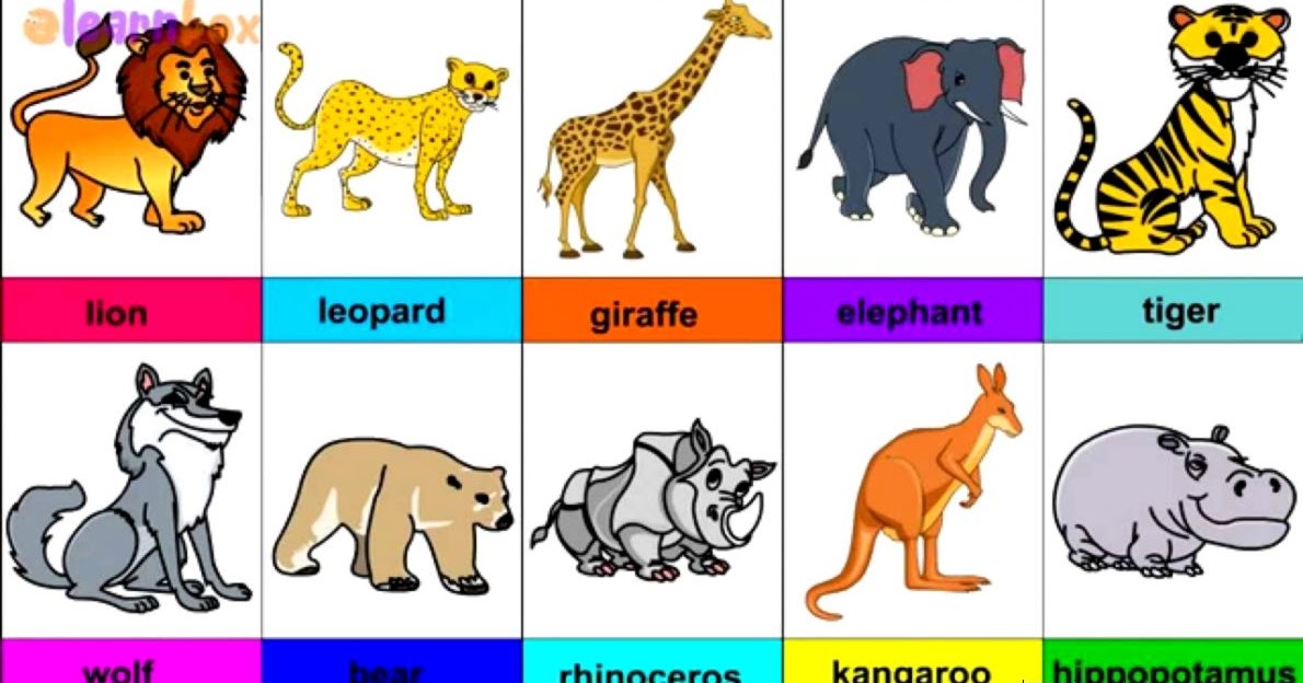 All Animals Names | Amazing Wallpapers