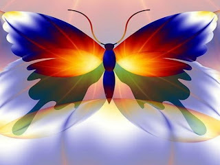 Colorful-butterfly-Wallpaper