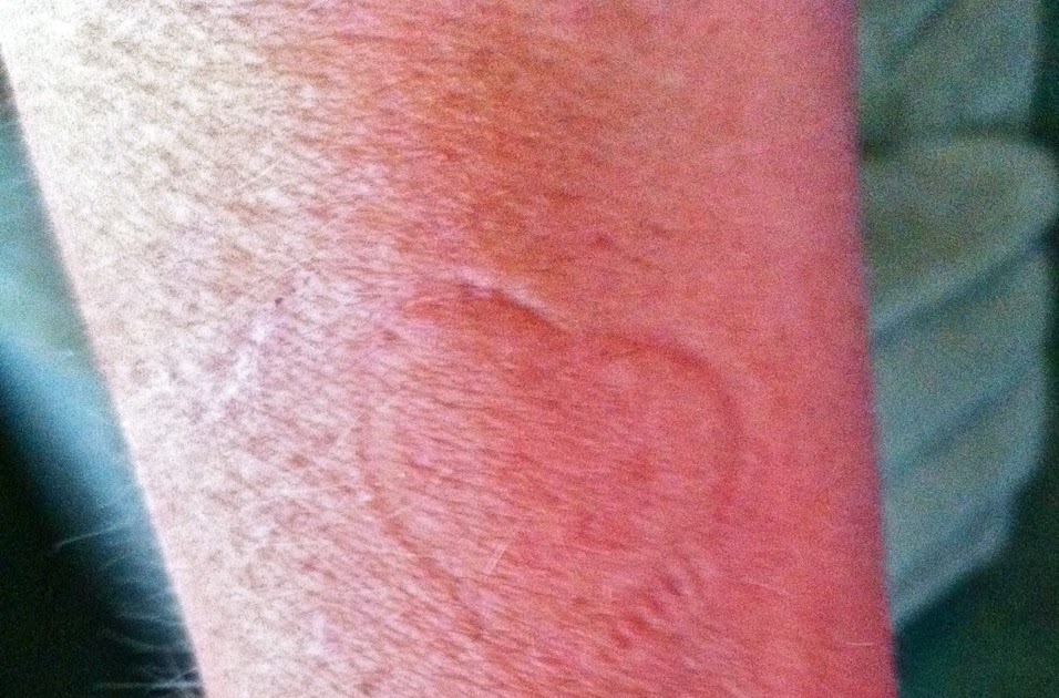 Farm Natters: Project: Domestic Goose Nesting Boxes