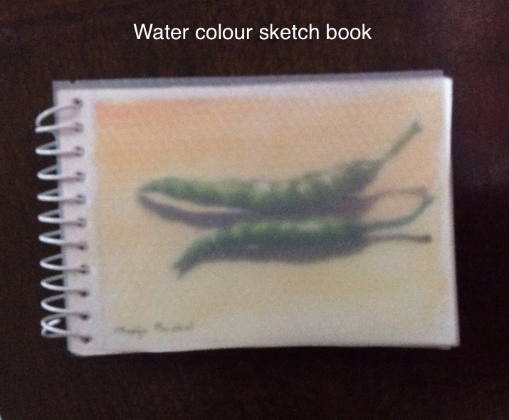 Water colour sketch book created by Manju Panchal