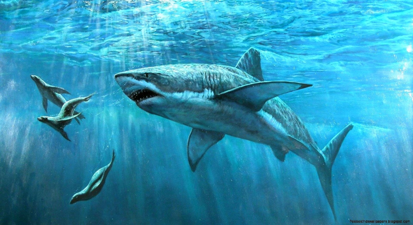 Great White Shark Painting Great White Shark Painting
