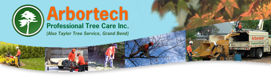 Arbortech Professional Tree Care