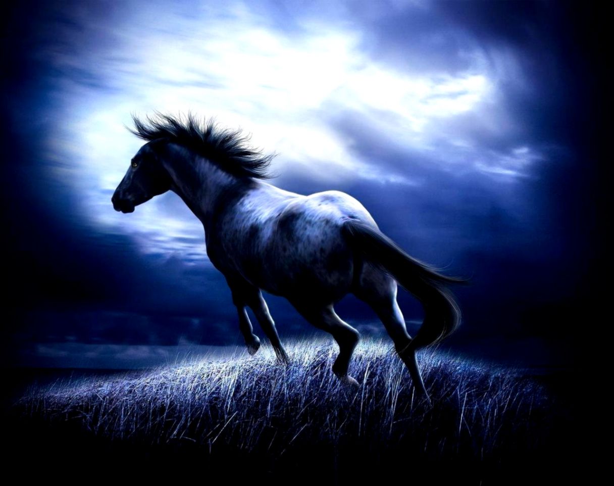 Dark Horse Running Dark Horse Running