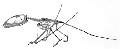 Dimorphodon