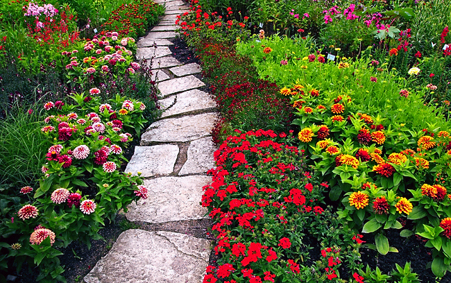 essay on flowers