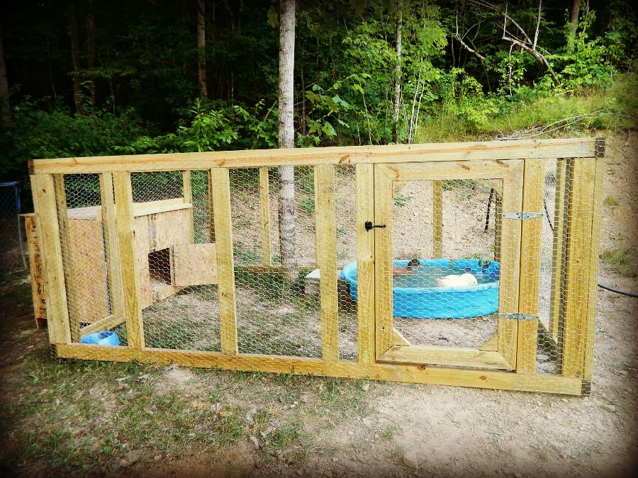 Duck Pond Integration