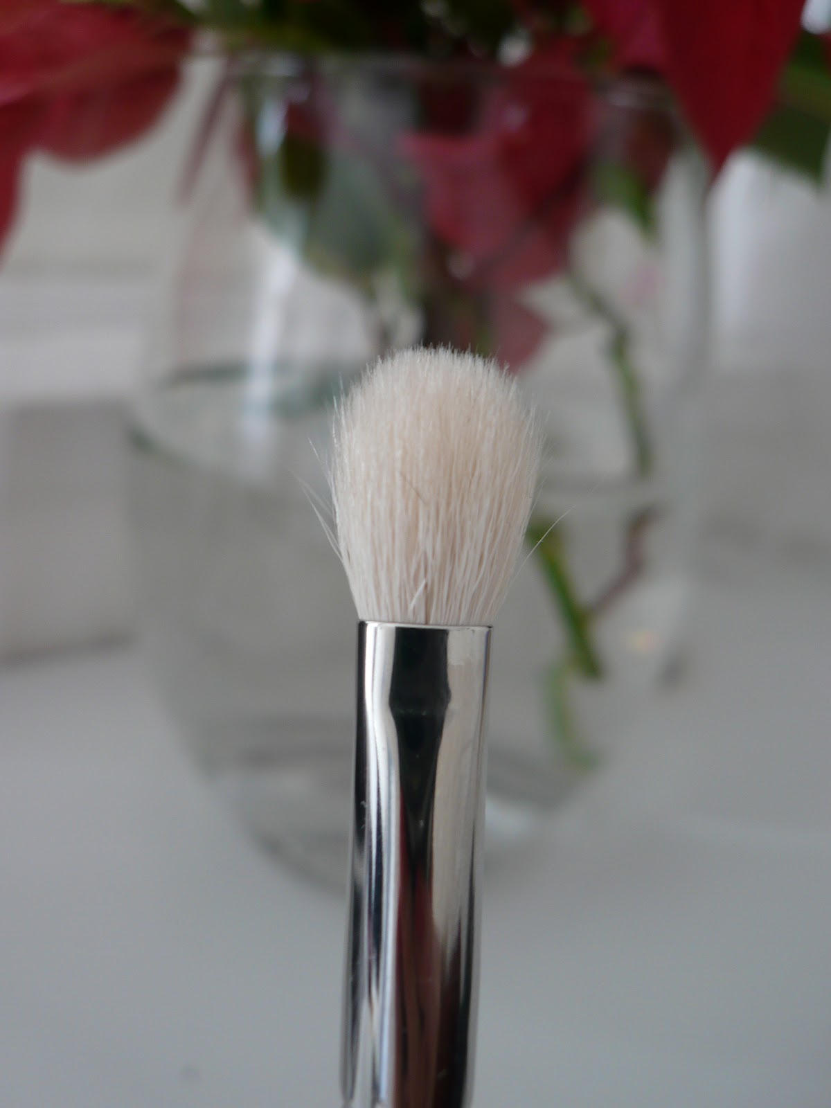 Anna6Belle My Top 5 Must Have Mac Brushes