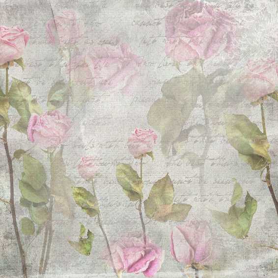stampingallday blogspot vintage rose free download