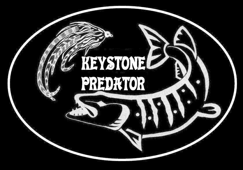 Keystone Predator Fly Fishing Officially a Licensed PA Fishing Guide