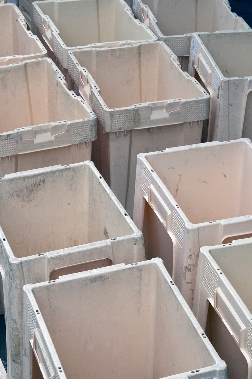 empty flower buckets empty flower buckets