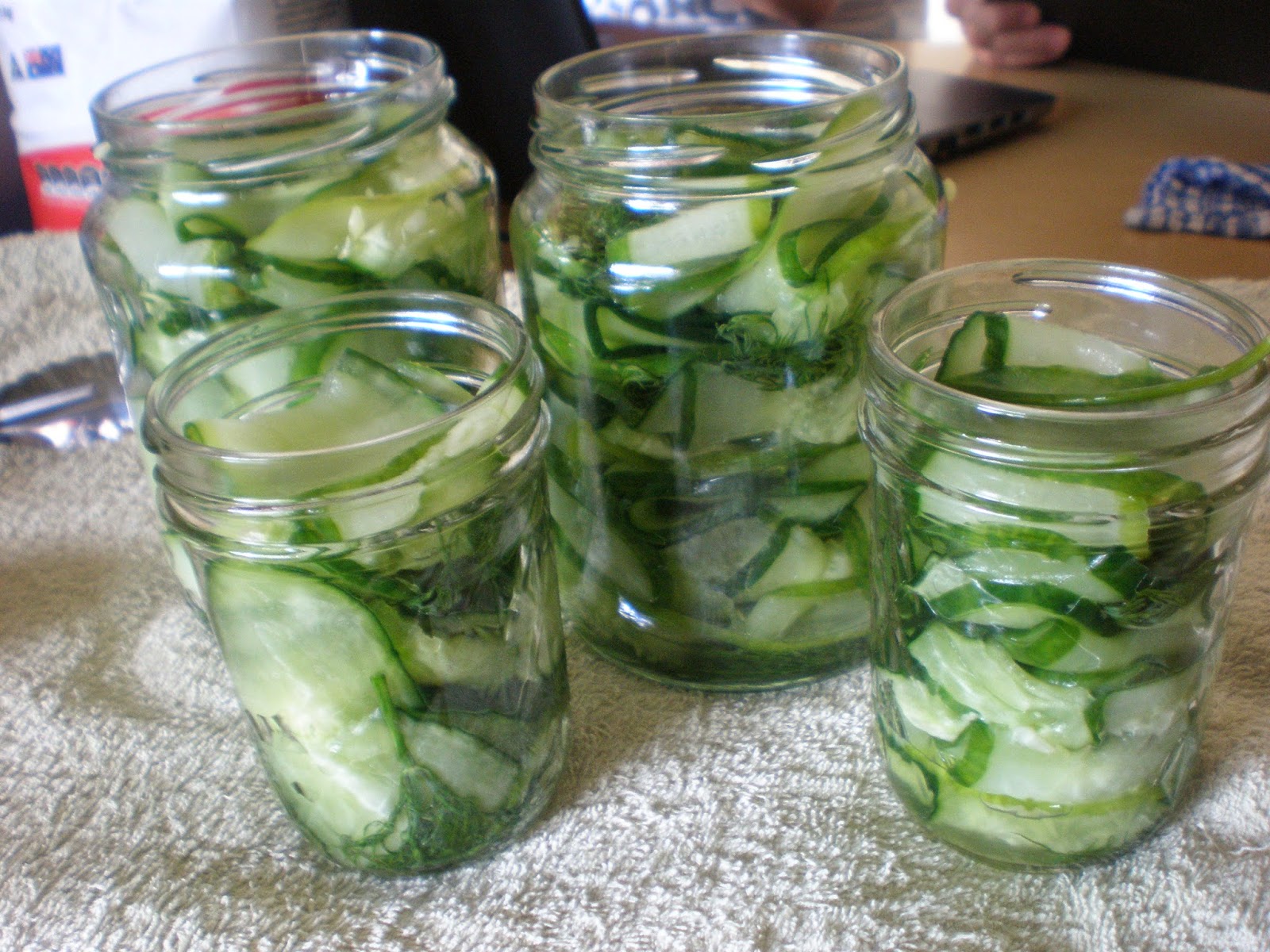 The InTolerant Chef ™ In a Pickle!