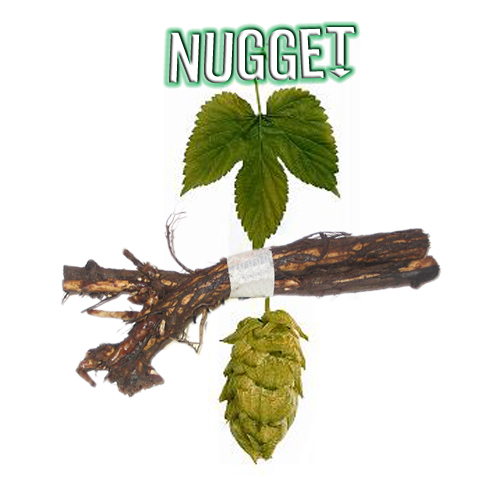 Nugget Hops