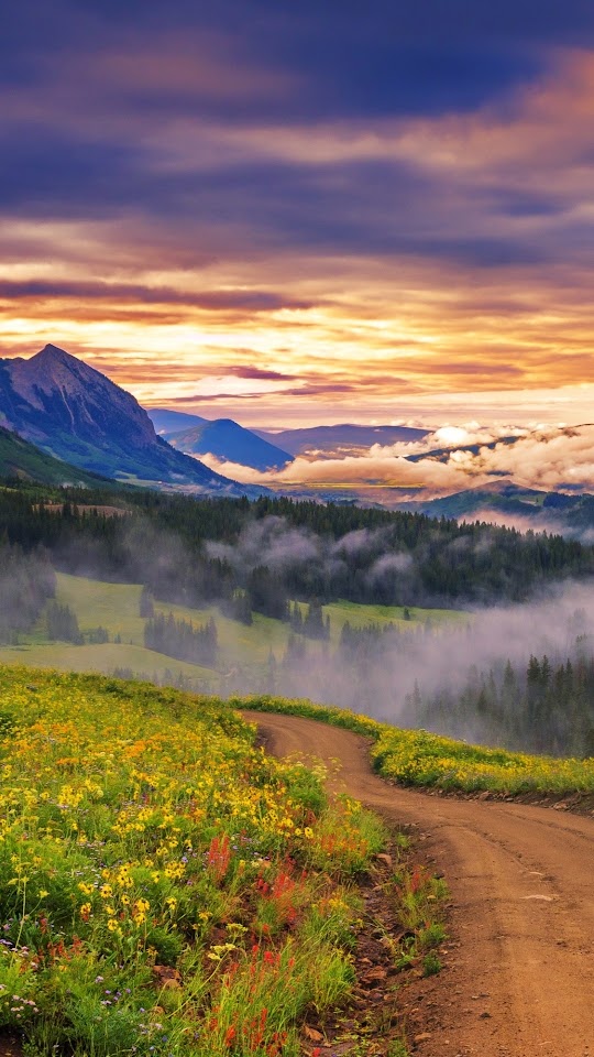 Mountains Forest Valley Dawn Fog Android Best Wallpaper