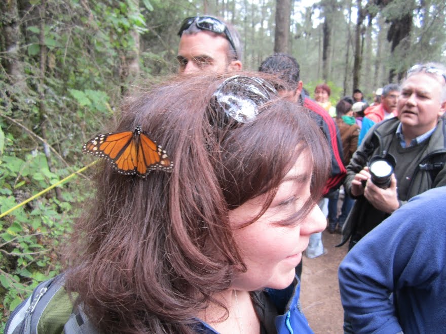 Traveling With Elliot Morelia Michoacan, Mexico December 2012