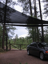 DIY Shade Sail