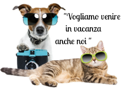 "Chi abbandona gli animali è un vigliacco"