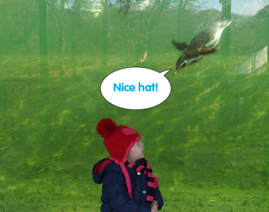 gruffalo pop up tent