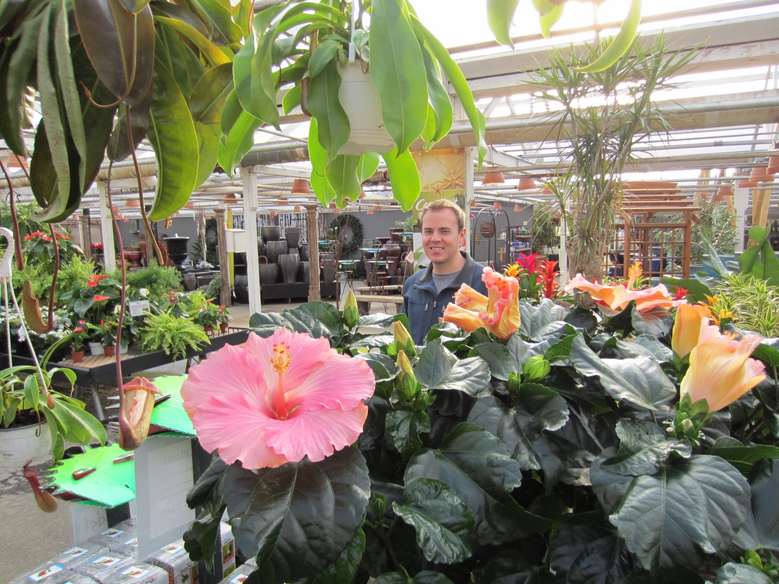 Around Puget Sound and Beyond Holiday Time Molbak's Nursery at