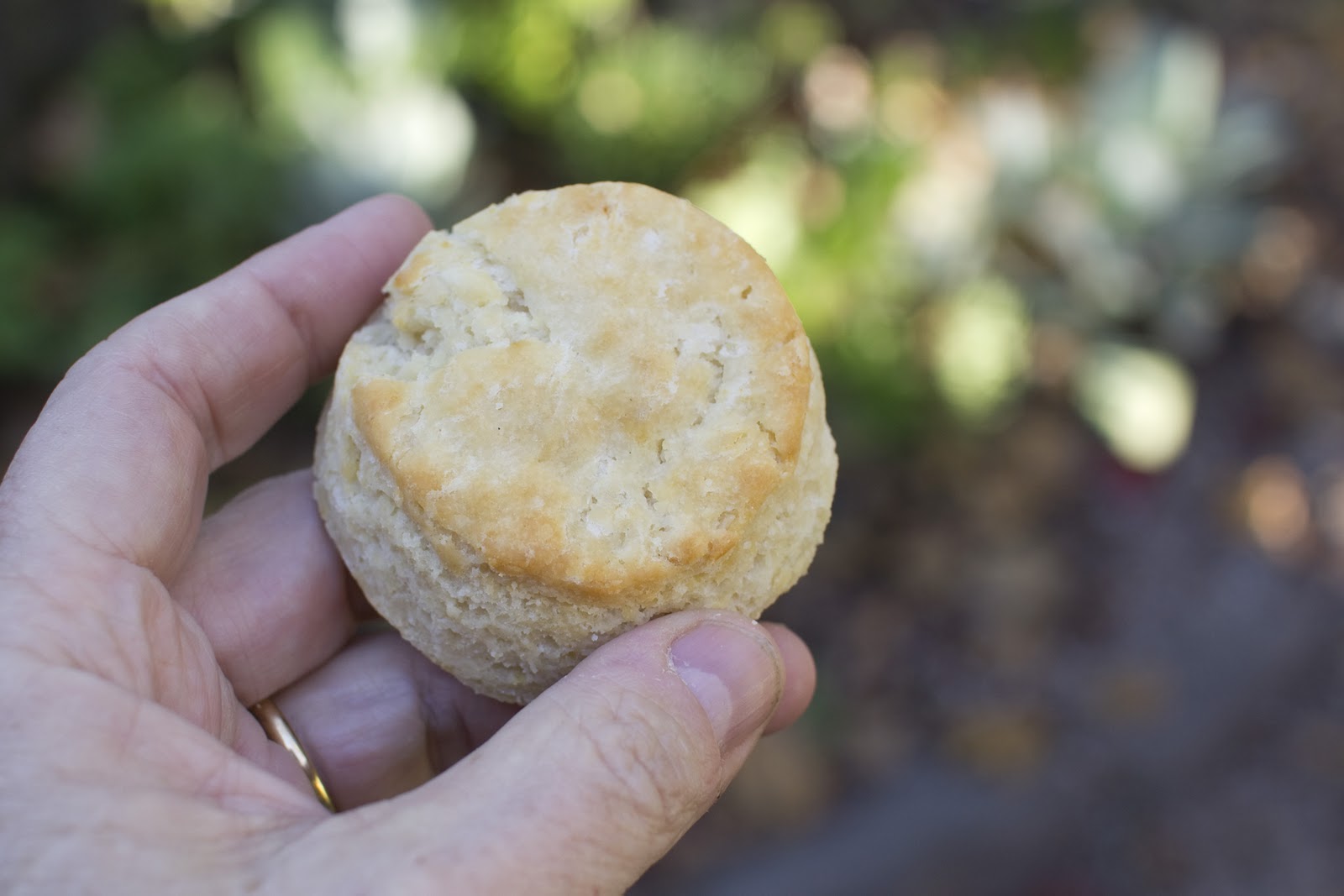 The Colors Of Indian Cooking: Gluten Free King Arthur Flour...nailed it!