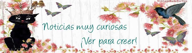 NOTICIAS MUY CURIOSAS   ¡Ver para creer!