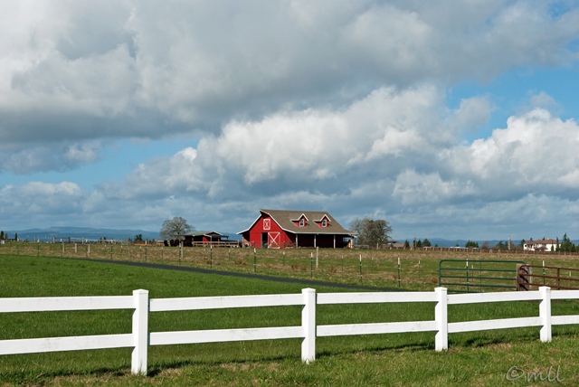 Fences