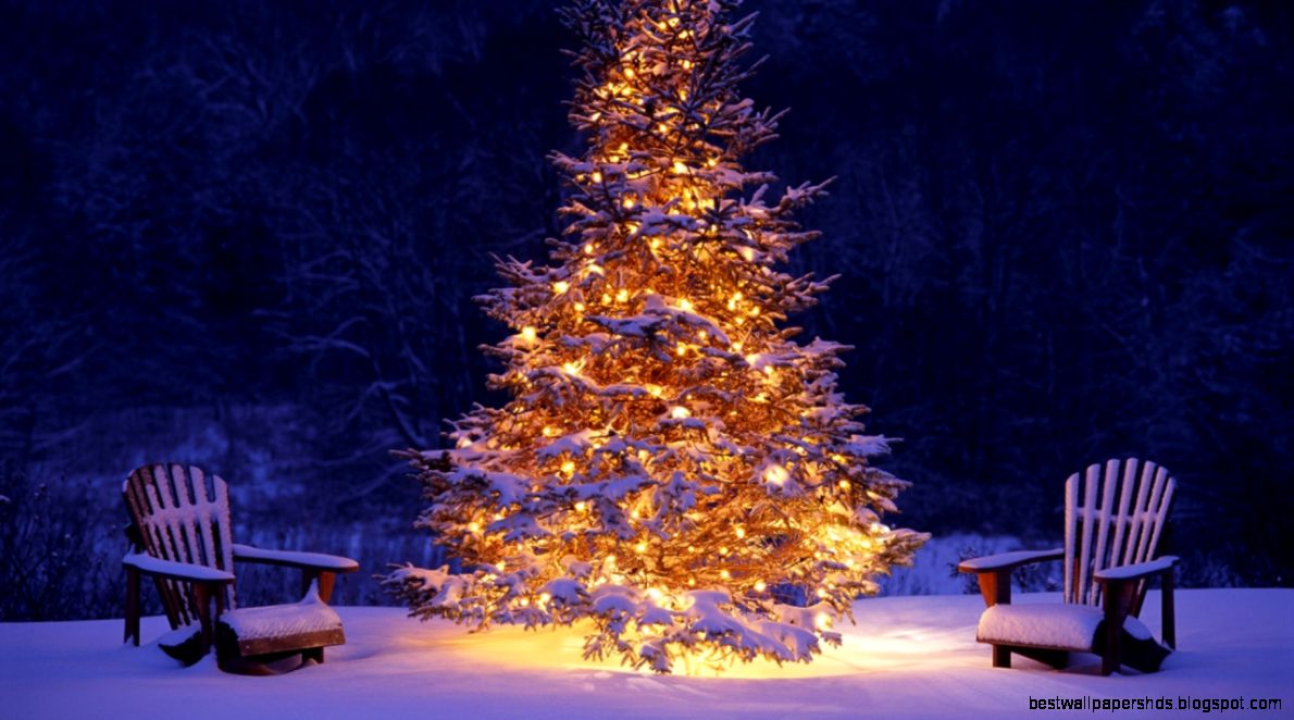 Snowy Christmas Treeblueribbonbabies Snowy Christmas Treeblueribbonbabies