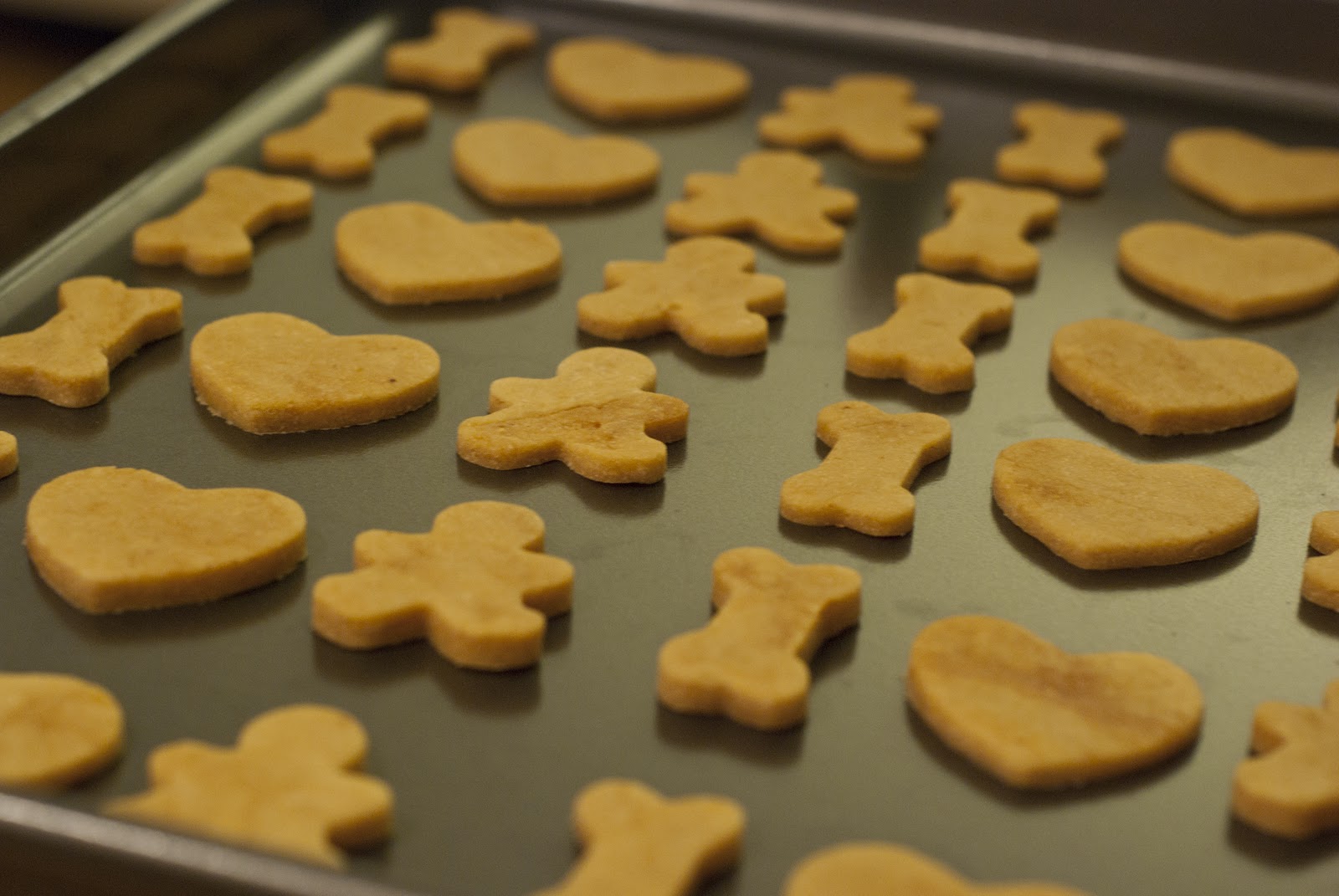 For the Love of Pooch Gingerbread Dog Cookies (By Mochi)