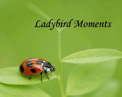 Ladybird Moments
