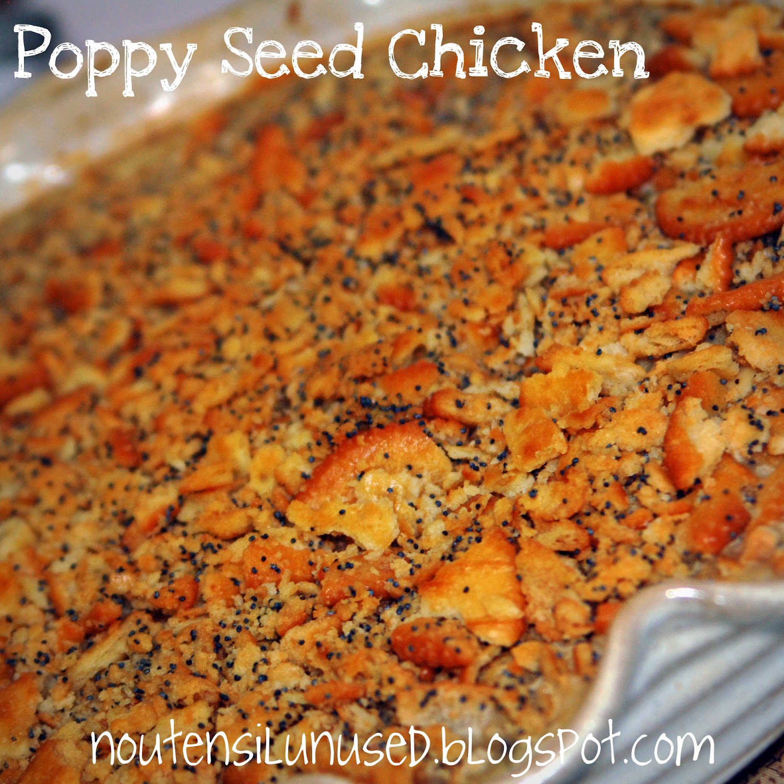 Poppy Seed Chicken Recipe No Utensil Unused